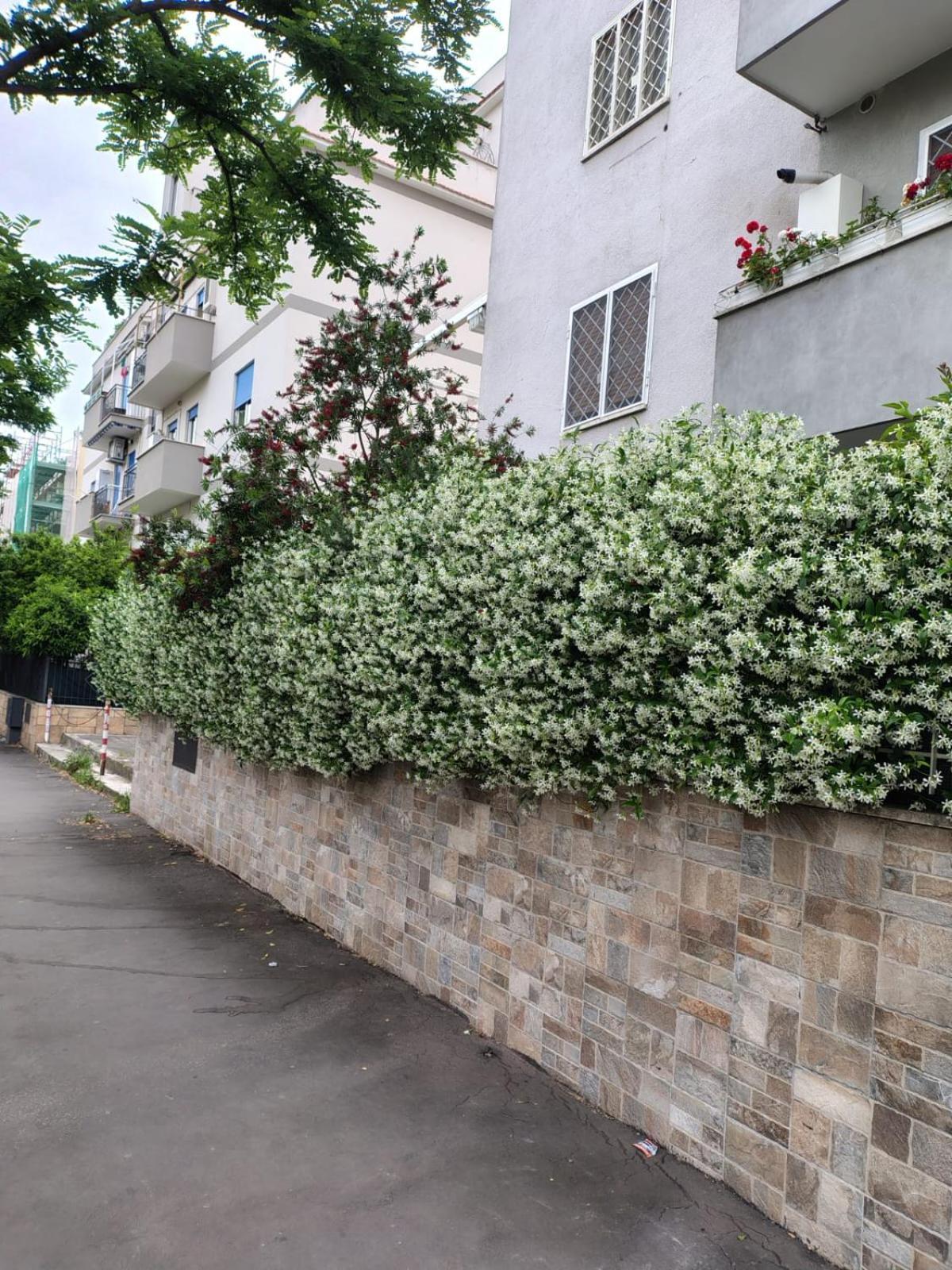 Il Pozzo Apartment Rome Exterior photo